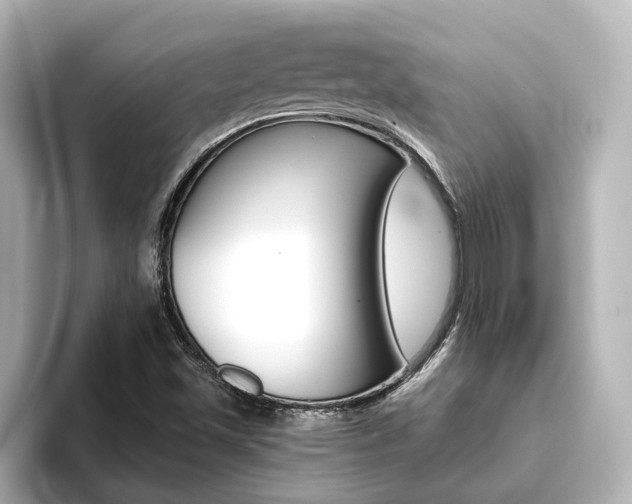 X0000093771501200710160846