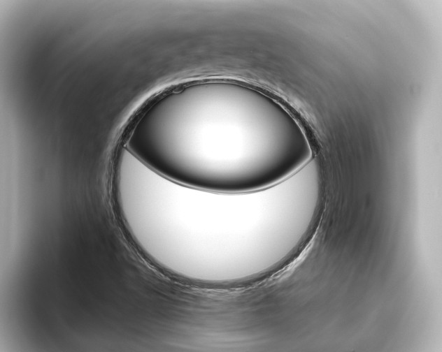 X0000093771502200710160846
