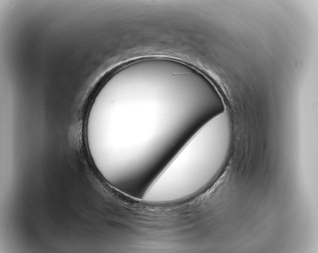 X0000093771503200710160846