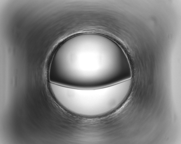 X0000093771506200710160846