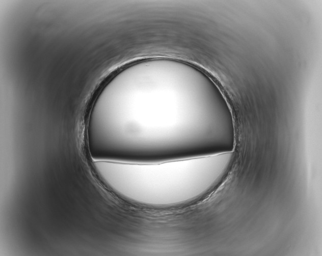 X0000093771507200710160846