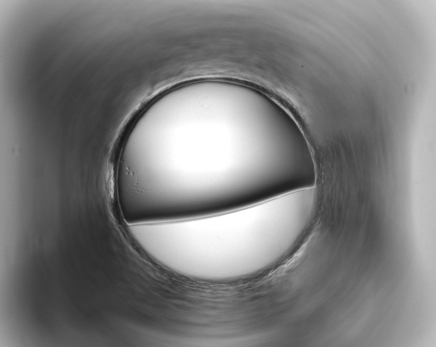 X0000093771509200710160846