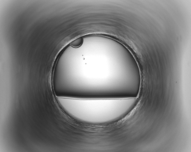 X0000093771513200710160846