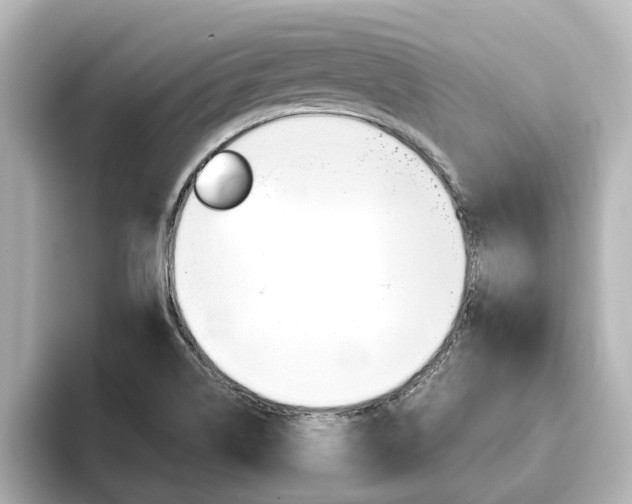 X0000093771514200710160846