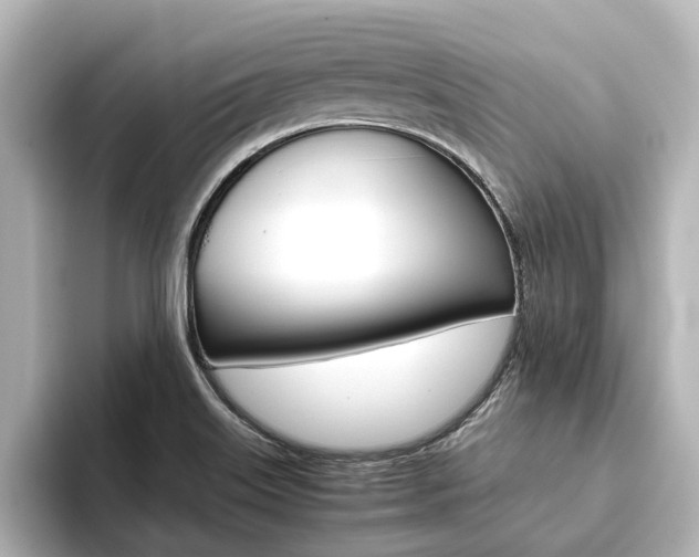 X0000093771515200710160846