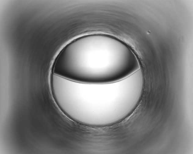 X0000093771516200710160846