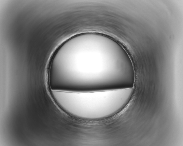 X0000093771517200710160846