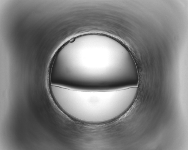 X0000093771518200710160846