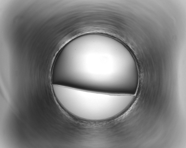 X0000093771521200710160846