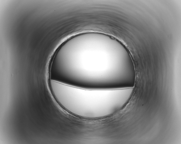 X0000093771523200710160846