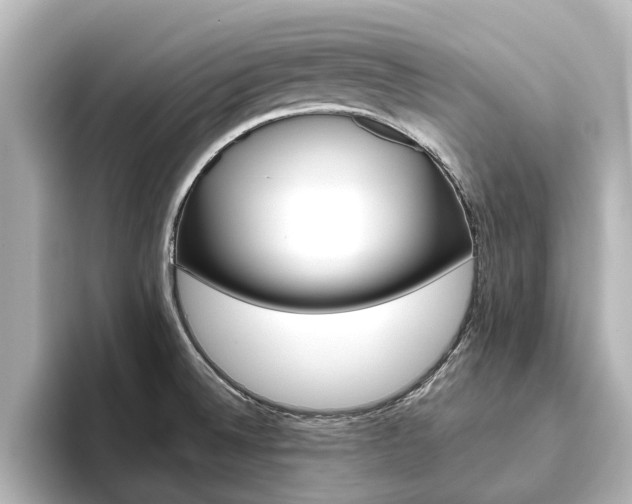 X0000093771524200710160846