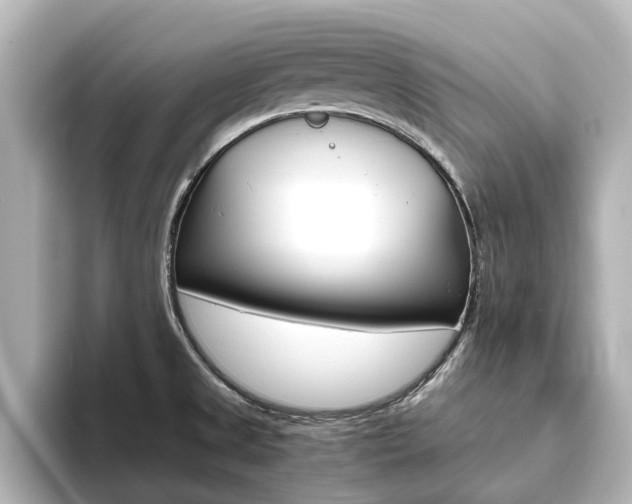 X0000093771525200710160846