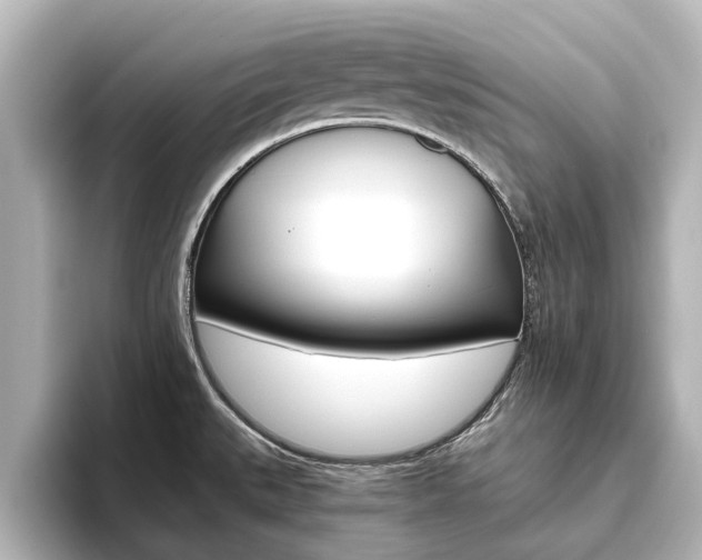 X0000093771527200710160846