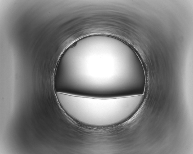 X0000093771529200710160846