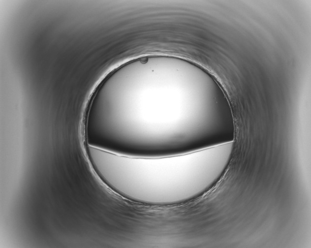 X0000093771531200710160846