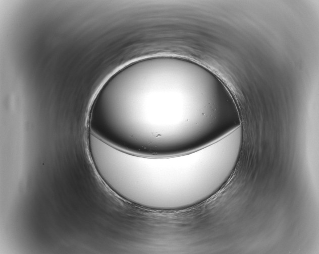 X0000093771532200710160846