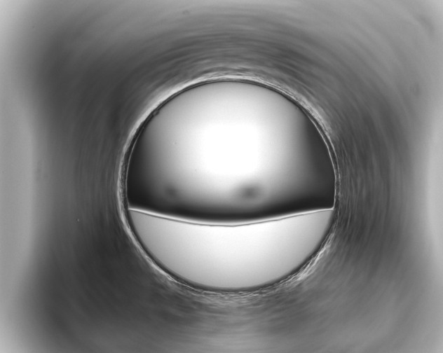 X0000093771533200710160846