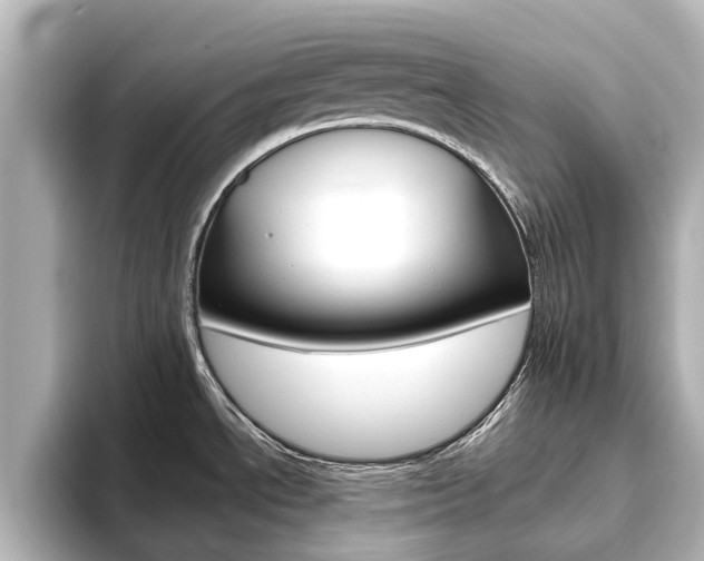 X0000093771534200710160846