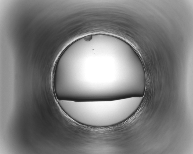 X0000093771535200710160846