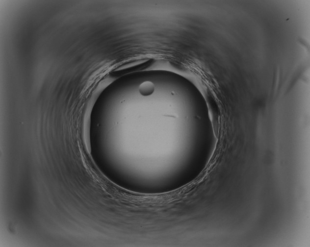 X0000093770001200710161251