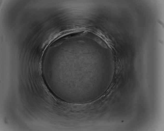 X0000093770002200710161251