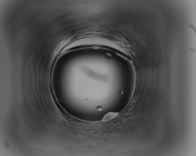 X0000093770003200710161251