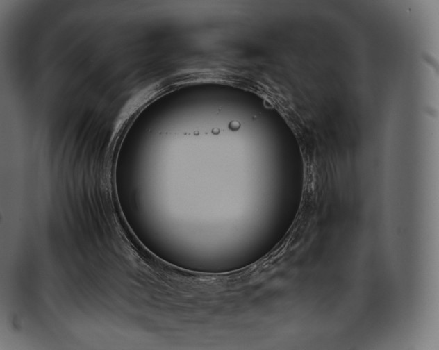 X0000093770004200710161251