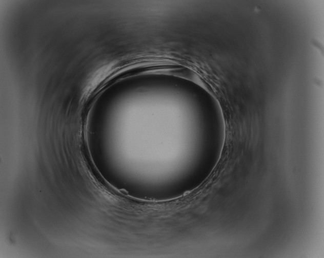 X0000093770005200710161251