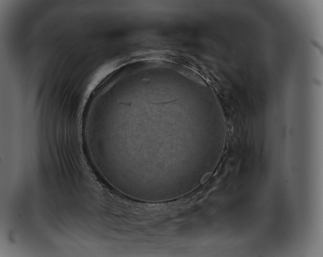 X0000093770006200710161251