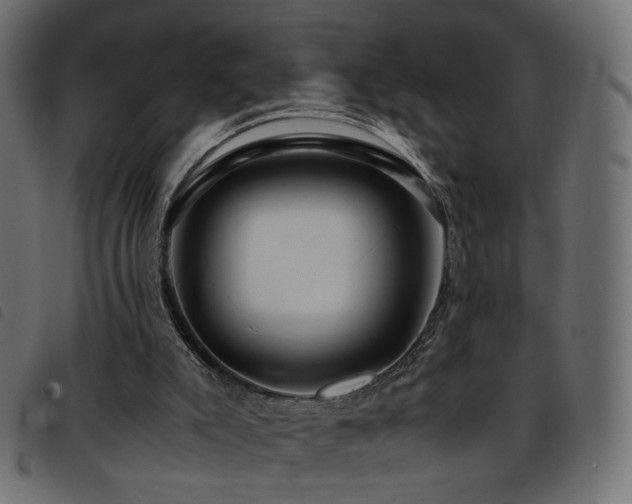 X0000093770007200710161251