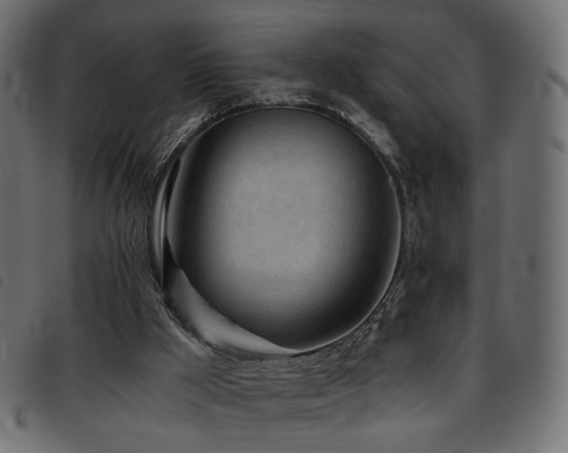 X0000093770009200710161251