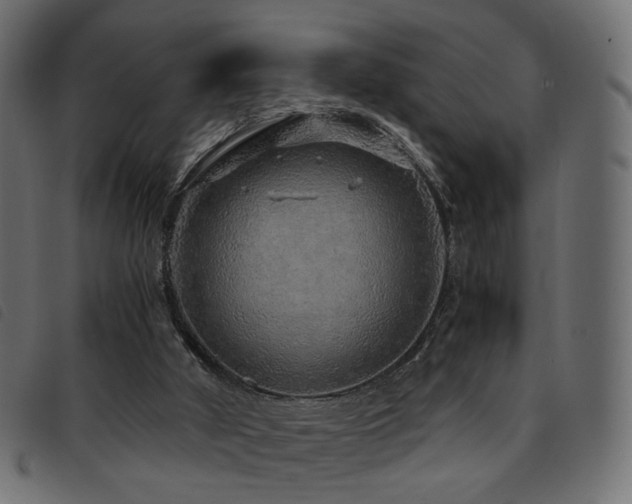 X0000093770010200710161251