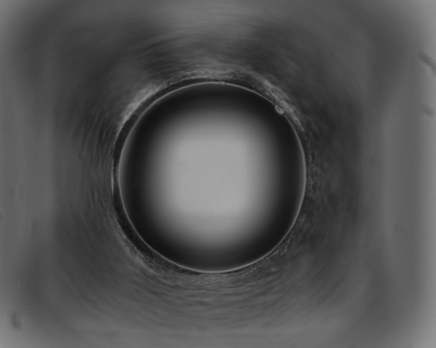 X0000093770011200710161251