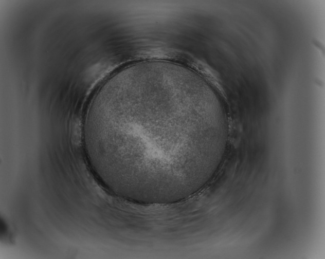 X0000093770012200710161251