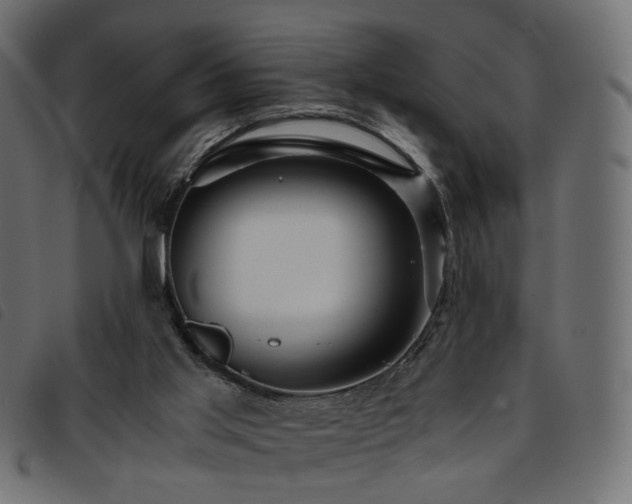 X0000093770013200710161251