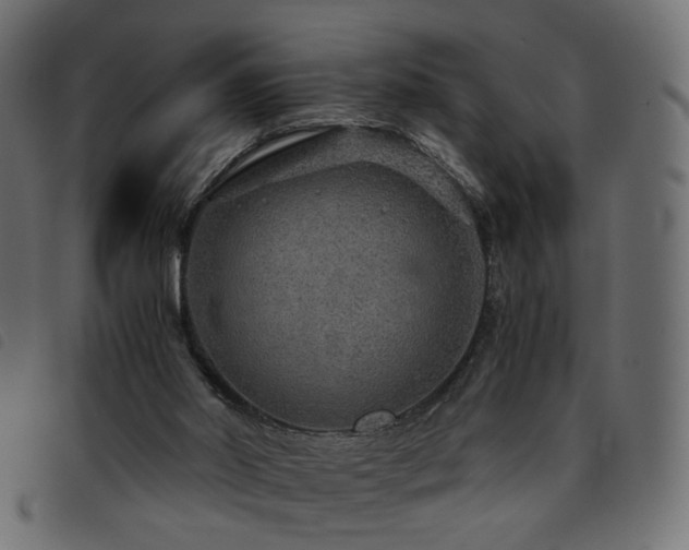 X0000093770014200710161251