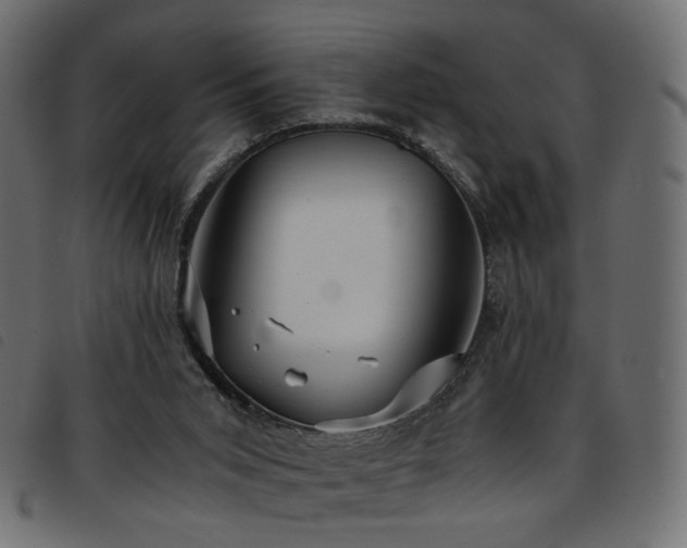 X0000093770015200710161251