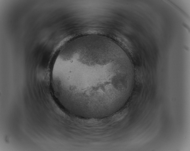 X0000093770016200710161251