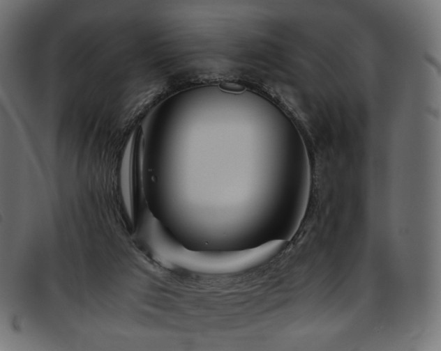 X0000093770017200710161251