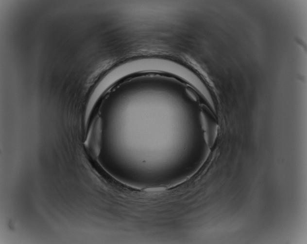 X0000093770019200710161251