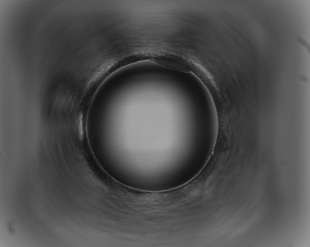 X0000093770020200710161250