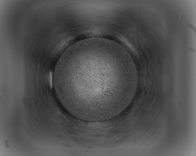 X0000093770022200710161250