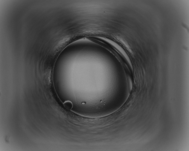 X0000093770023200710161250