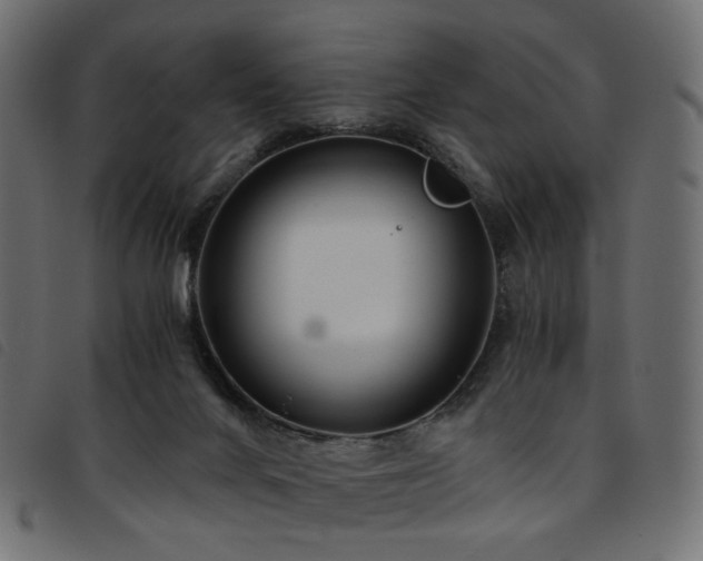 X0000093770024200710161250