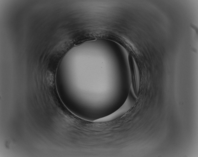 X0000093770025200710161250