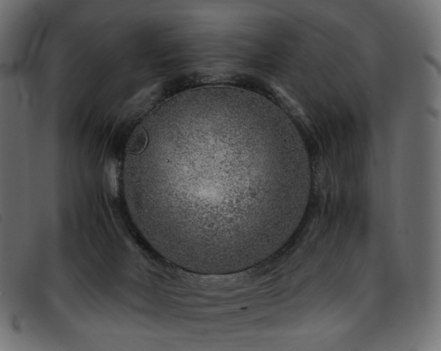 X0000093770026200710161250