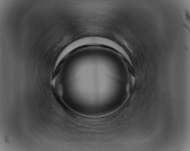 X0000093770027200710161250