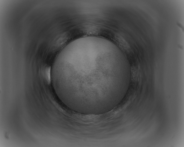 X0000093770028200710161250