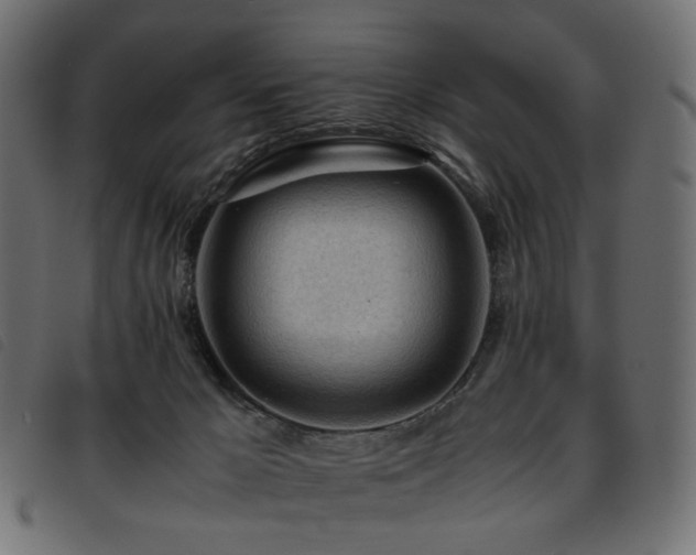 X0000093770029200710161250