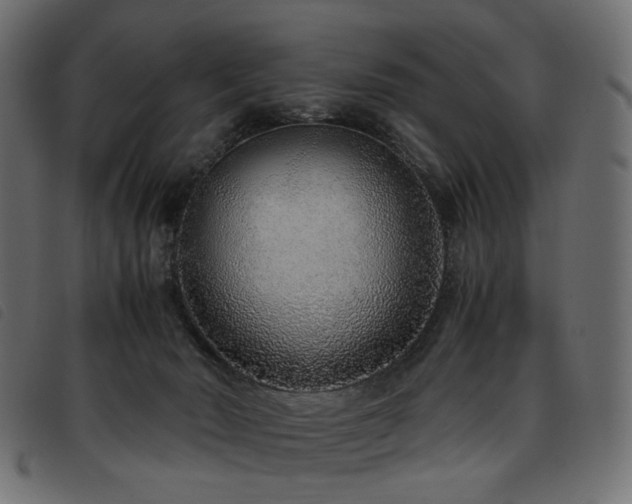 X0000093770030200710161250